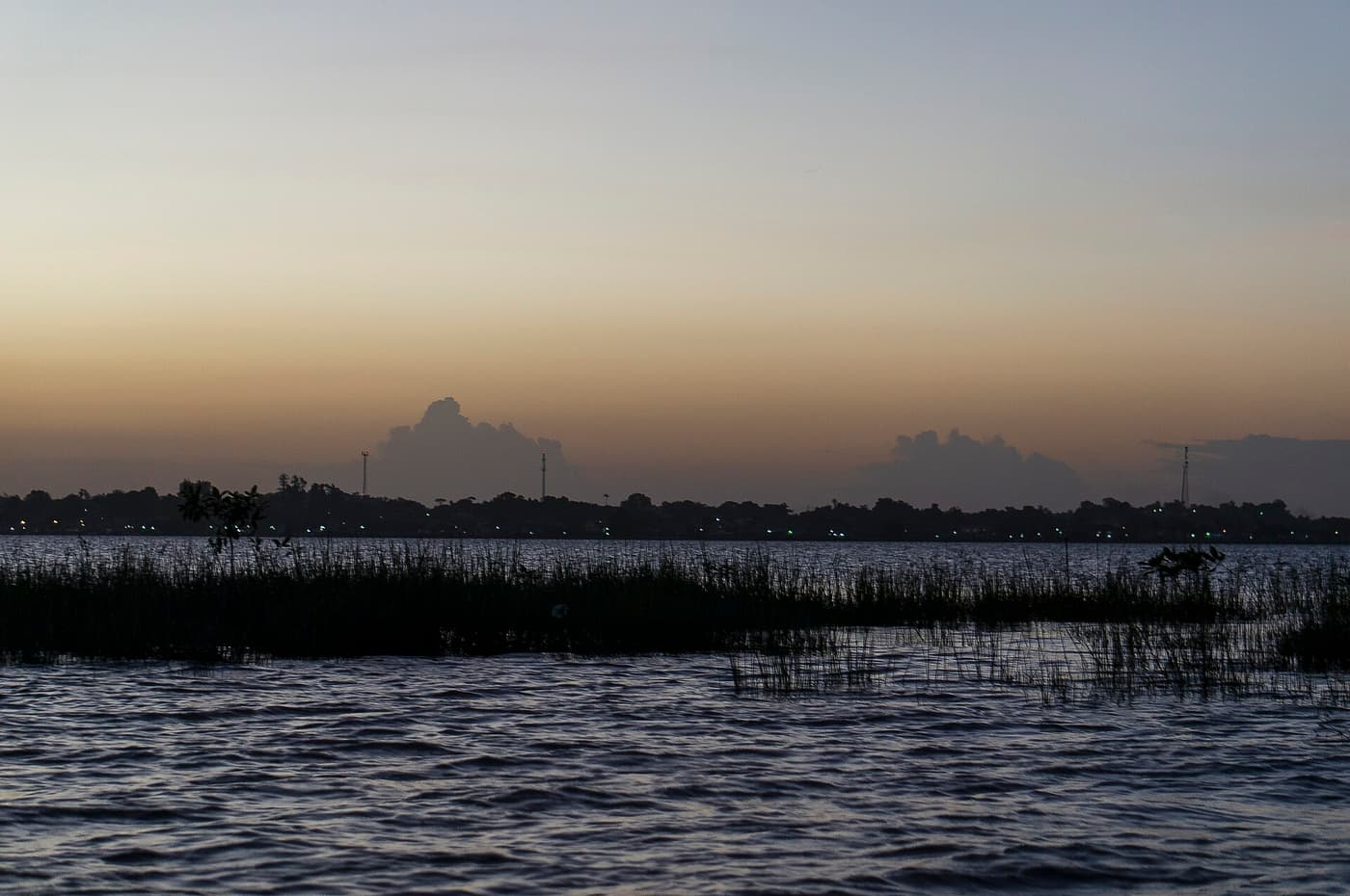 The wide Essequibo River at dusk with reeds in the foreground and a low forested shore