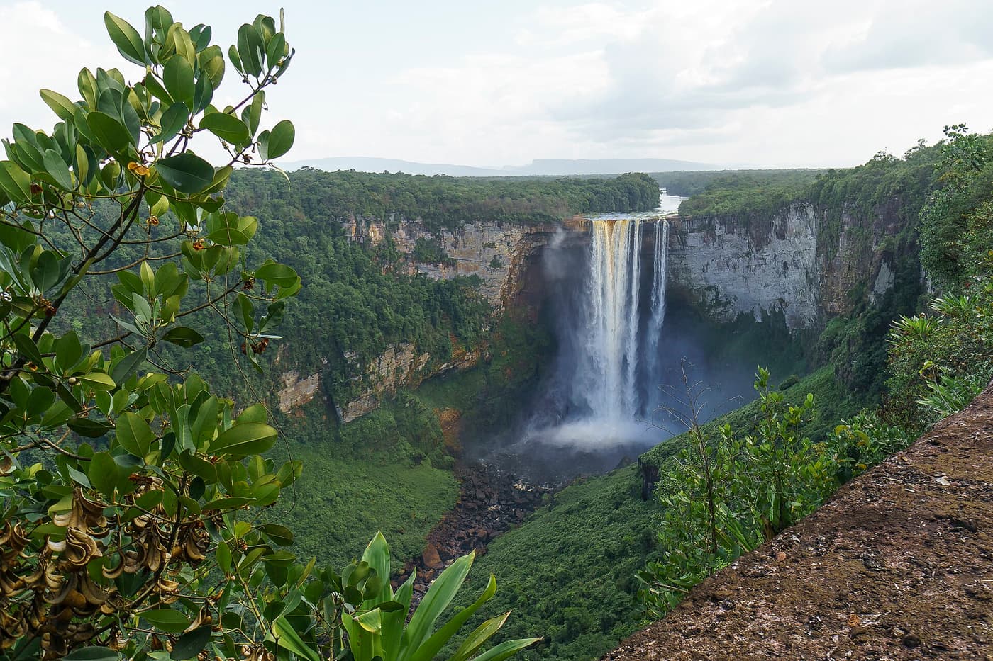 Kaieteur Falls seen from a viewpoint on the rim of its gorge, framed by leaves