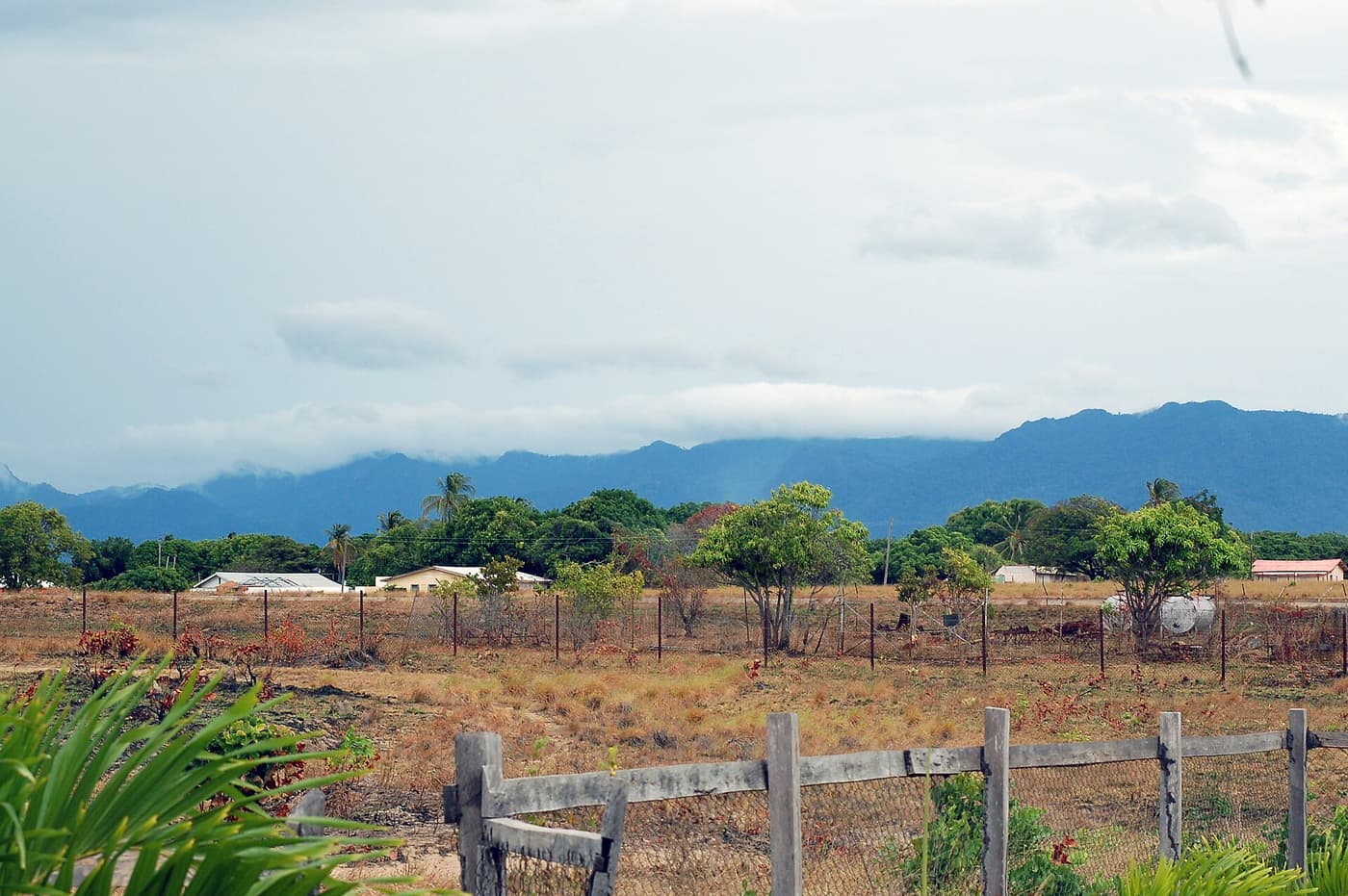 The blue line of the Kanuku range seen across fenced savannah pasture