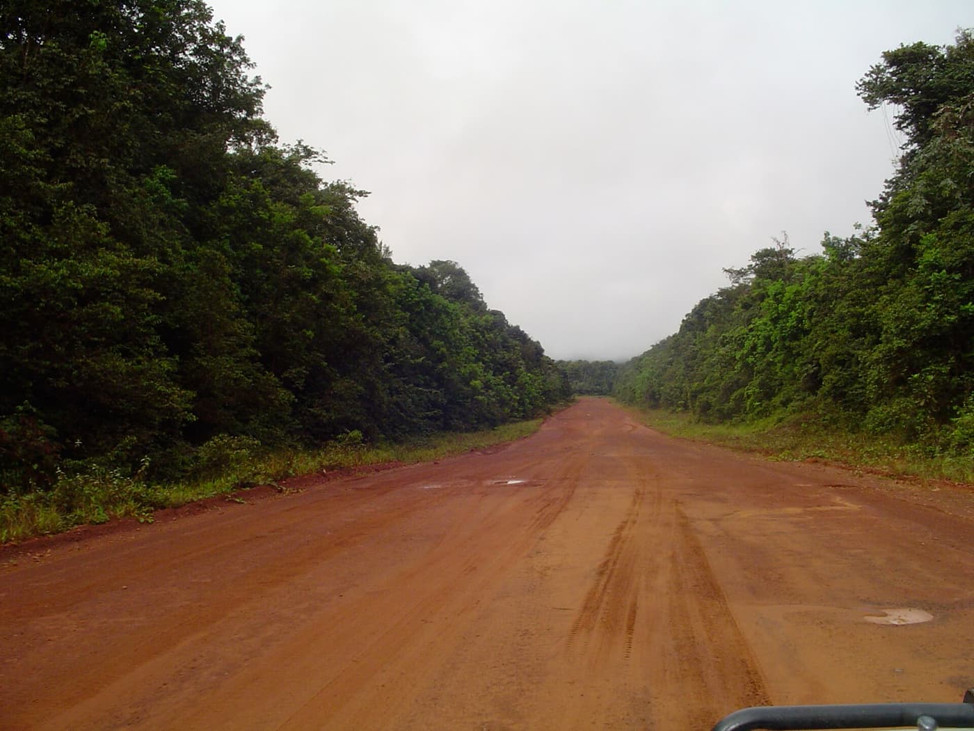 A broad red laterite road running through forest south of Linden