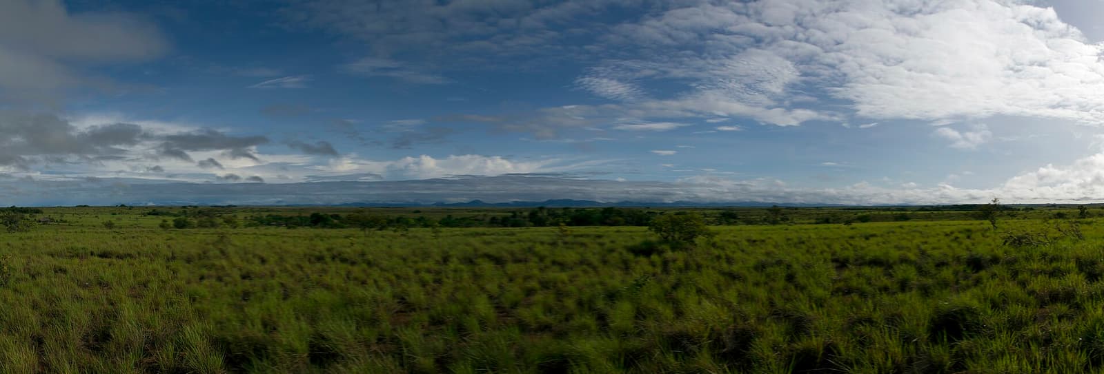 The Rupununi savannah stretching to distant hills under a wide sky near Yupukari