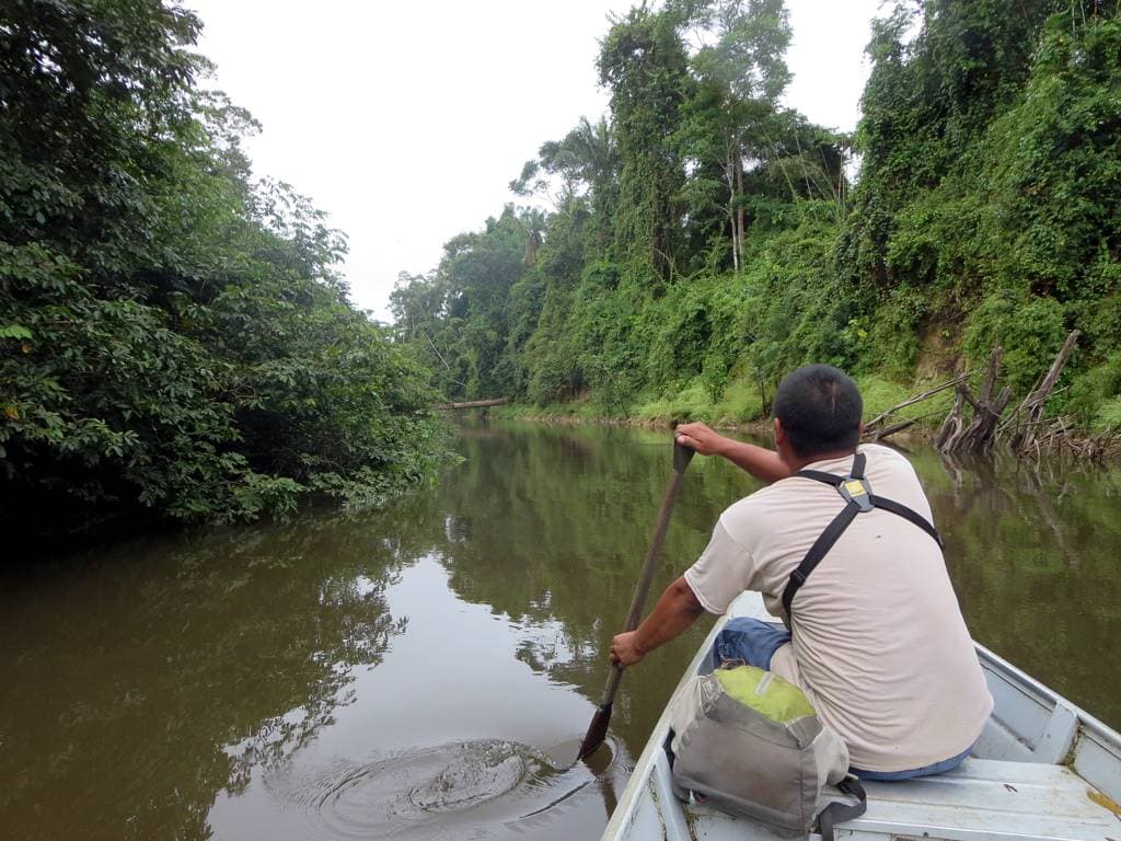 A guide paddling a canoe along the forest-lined Burro-Burro River